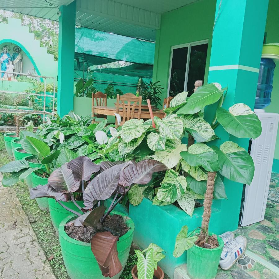 Barril Green Homestay Batuan Exterior foto